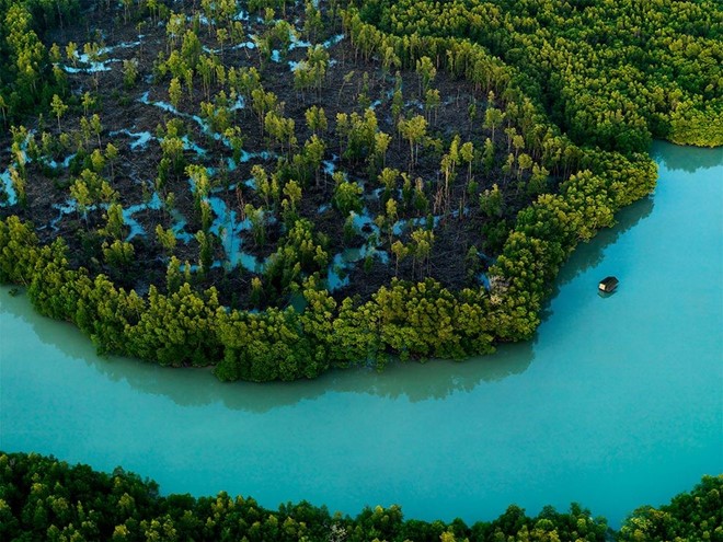 Những rặng đước xinh đẹp viền theo mũi bán đảo Malaysia ở Johor, điểm cực nam trên đất liền của châu Á. Ảnh: Justin Guariglia/National Geographic.
