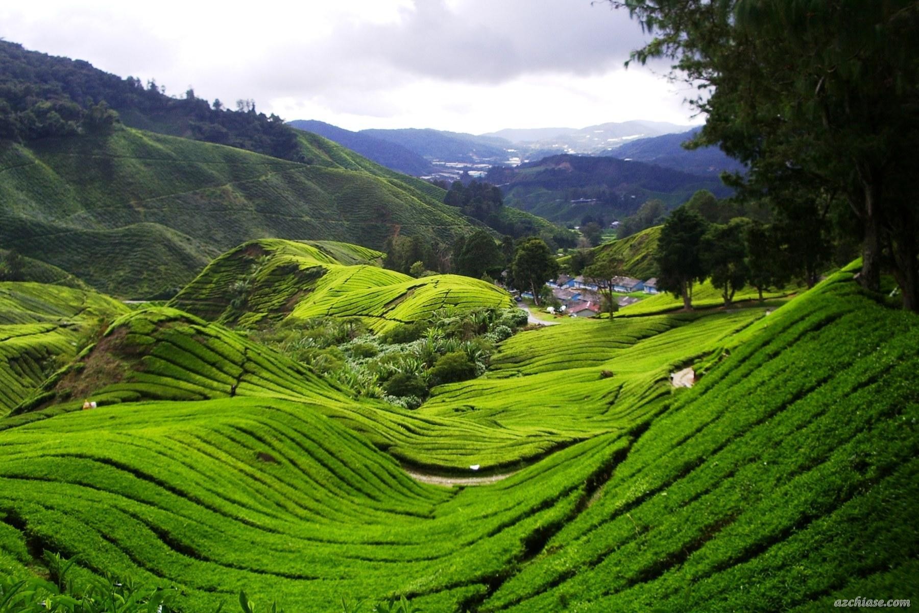Du lịch Malaysia nên đi mấy ngày Du lịch Malaysia nên đi mấy ngày