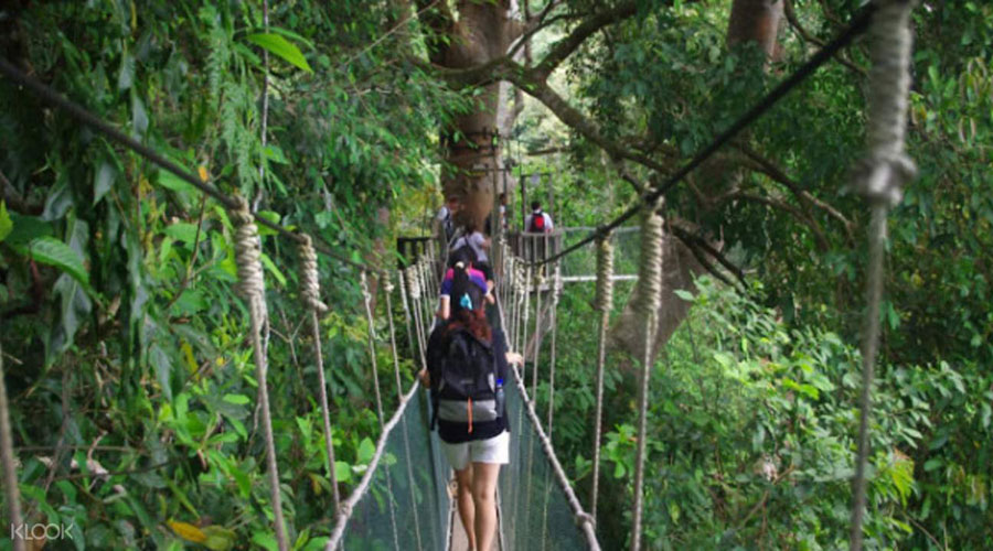 Ngẩn Ngơ Trước Thiên Đường Xanh Mát – Du Lịch Sabah Malaysia