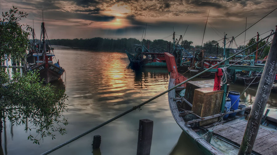 ngam-dom-dom-tai-kuala-selangor-night-tour1