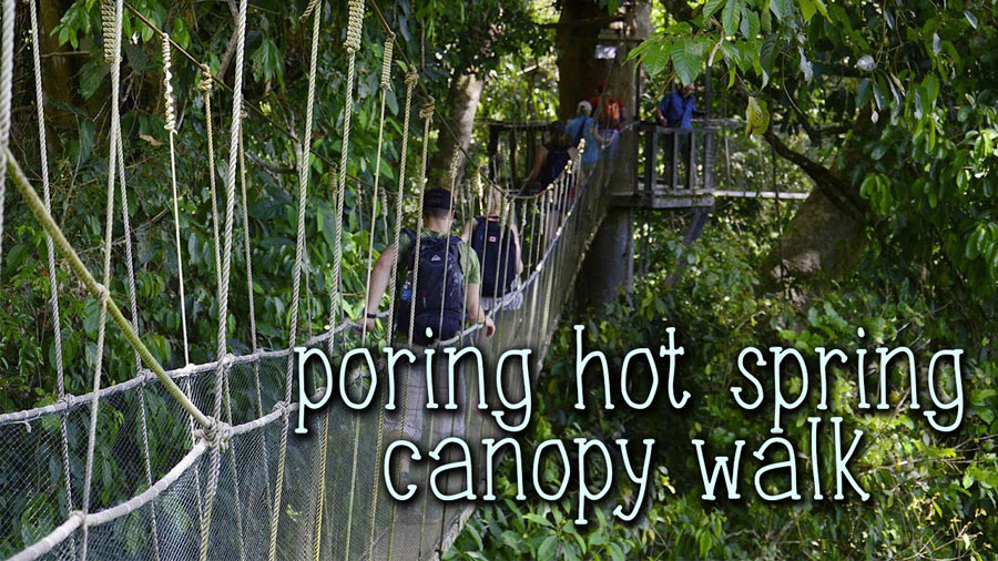 Cầu treo Canopy Walkway du lịch Kota Kinabalu